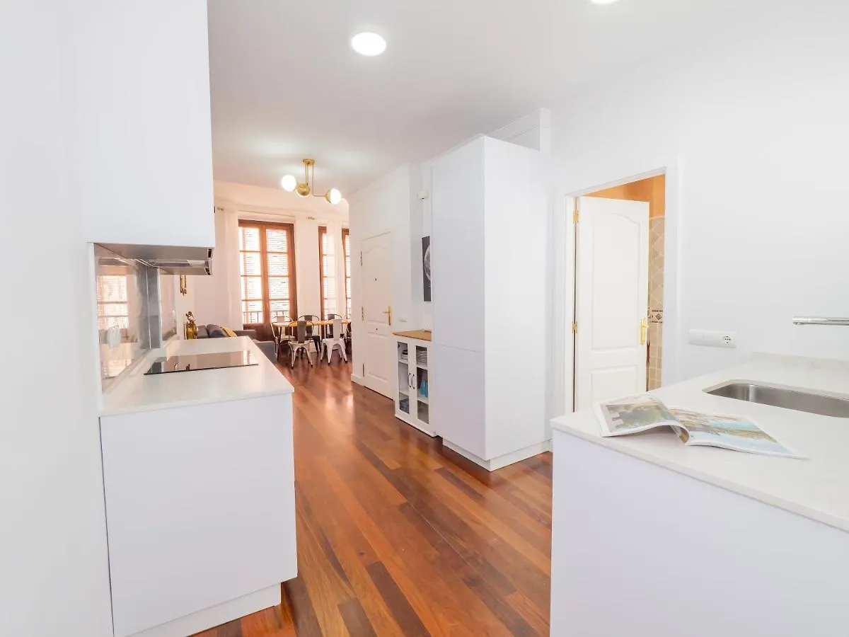 Gran Constitucion Plaza Malagamanagement Apartment Malaga